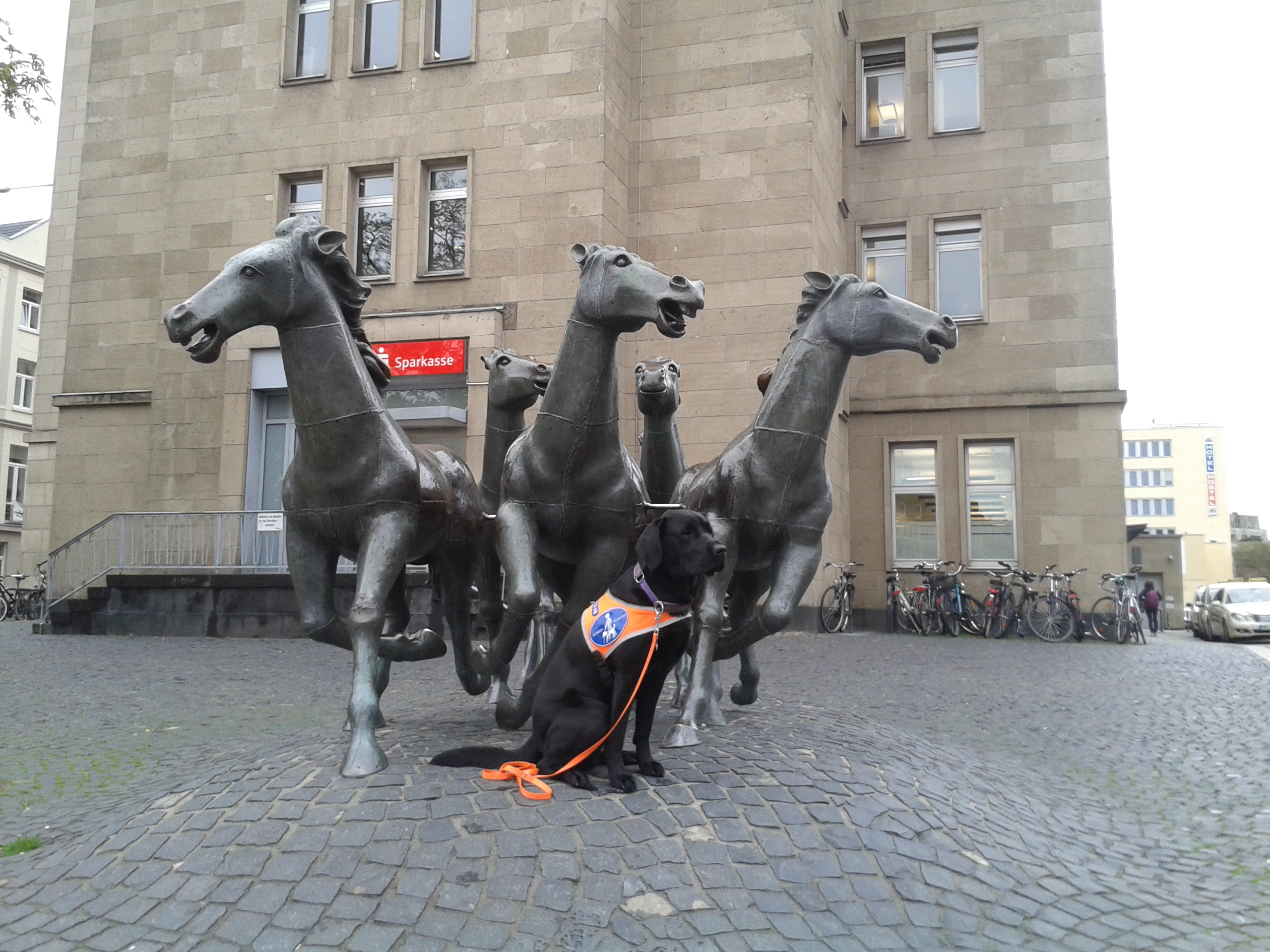 Balso sitzt vor einen Statuen-Gruppe Pferde am Hauptbahnhof in Aachen