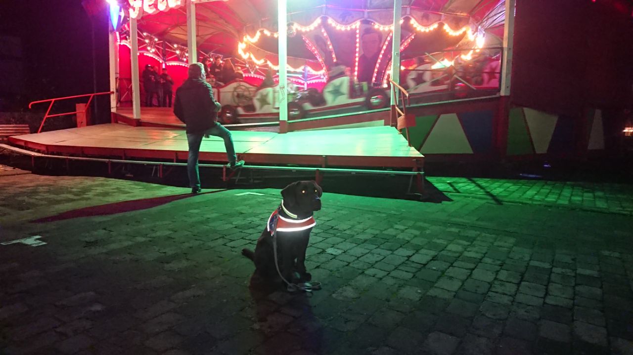 Blindenführhundtraining Weihnachtsmarkt